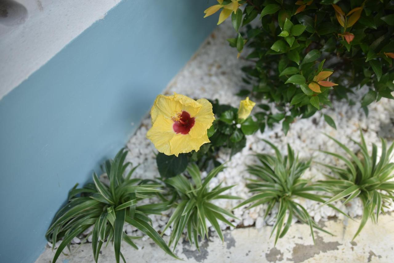 Lovely Homestay Huế Ngoại thất bức ảnh