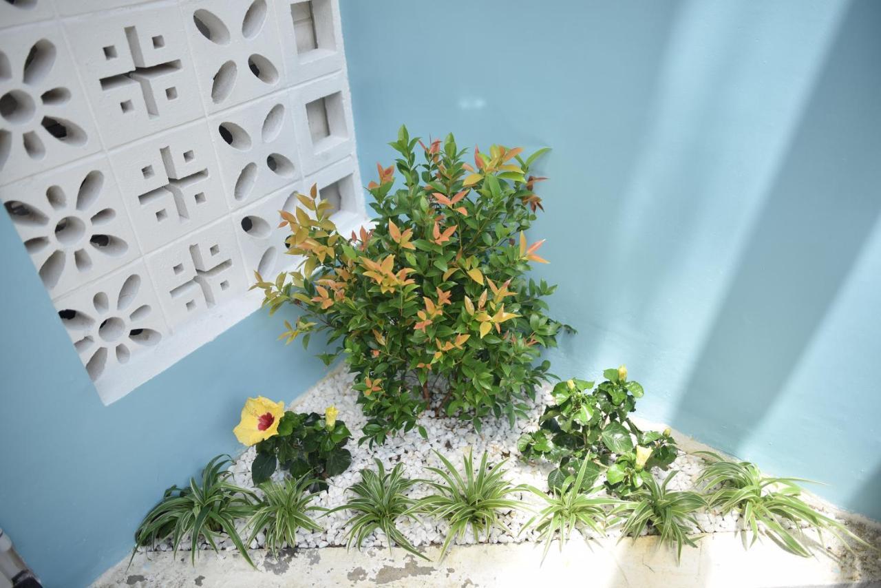 Lovely Homestay Huế Ngoại thất bức ảnh